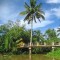 MEKONG RIVER DELTA 1 DAY from 25 USD/person only